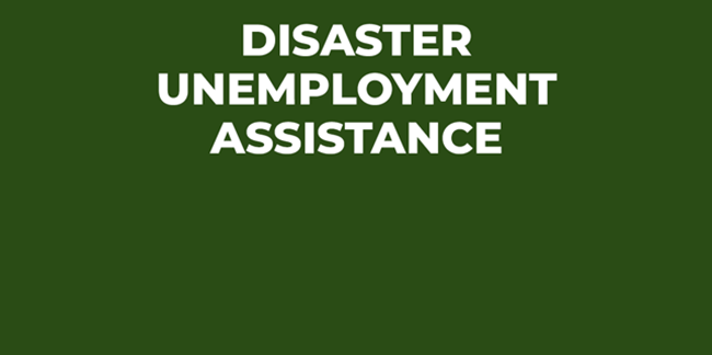 disaster unemployment assistance